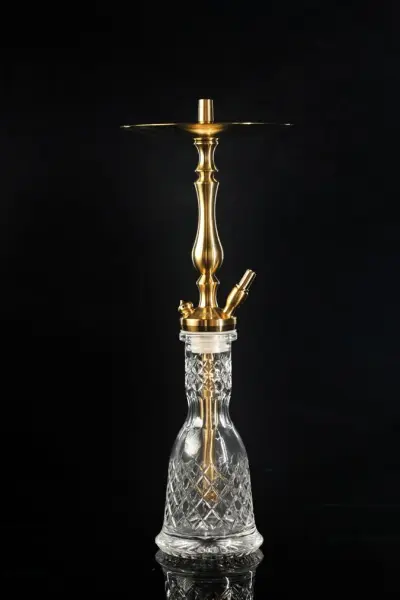 WD Hookah Tradi