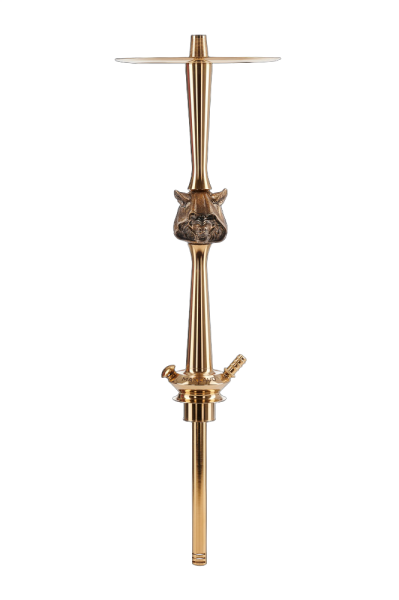 Maklaud Gazzik New Nargile Takımı