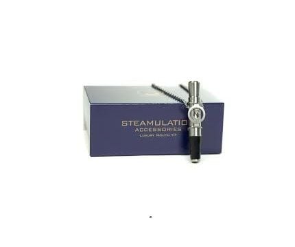 Steamulation Hygenie Mouthtip Silver Askılı Sipsi